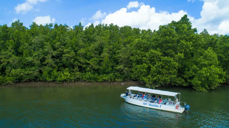 Cairns: 2-Day Great Barrier Reef & Daintree Rainforest Tour - Cape Tribulation Beach and the Daintree ferry