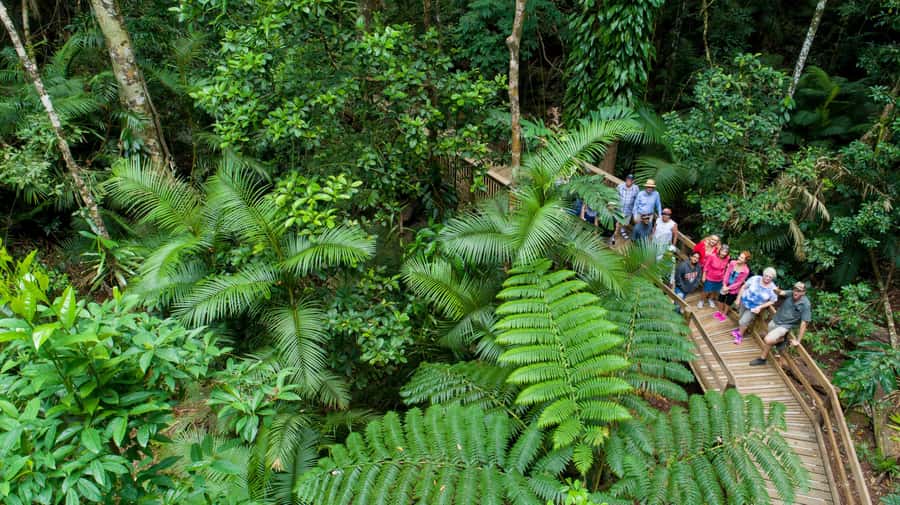 Cairns: 2-Day Great Barrier Reef & Daintree Rainforest Tour - Five hours at two Outer Great Barrier Reef sites
