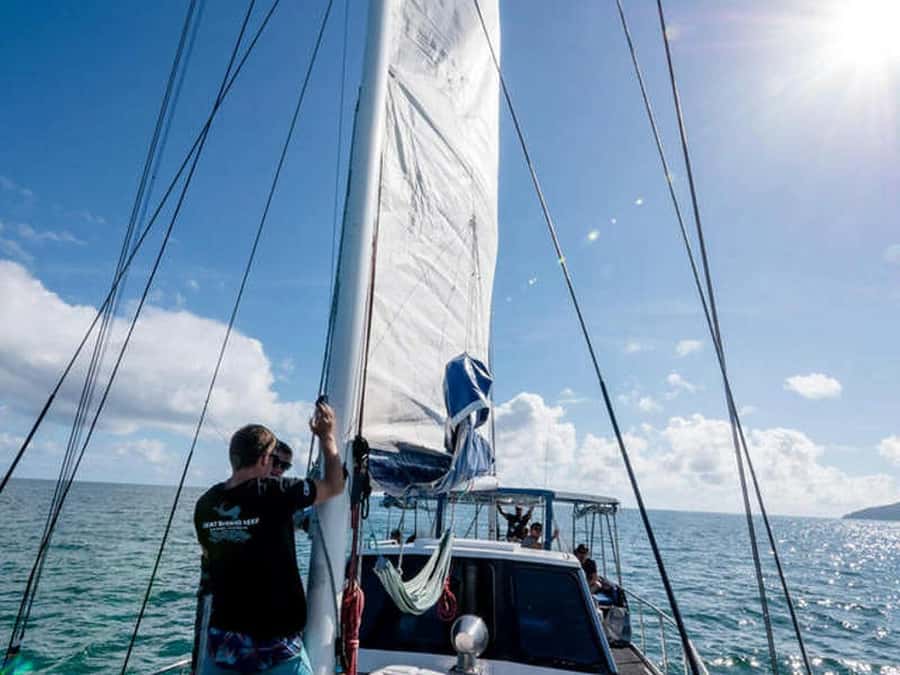 Cairns: 2-Day Great Barrier Reef Dive and Snorkel Boat Trip - Key points to know before you book
