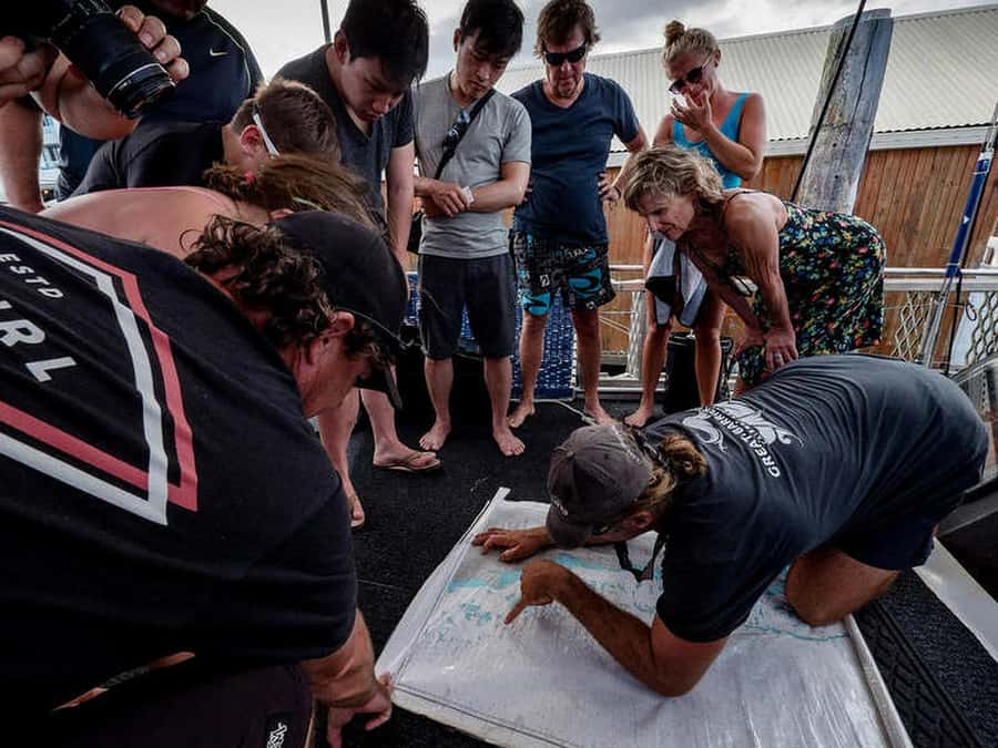 Cairns: 2-Day Great Barrier Reef Dive and Snorkel Boat Trip - Boarding Coral Sea Dreaming from Cairns