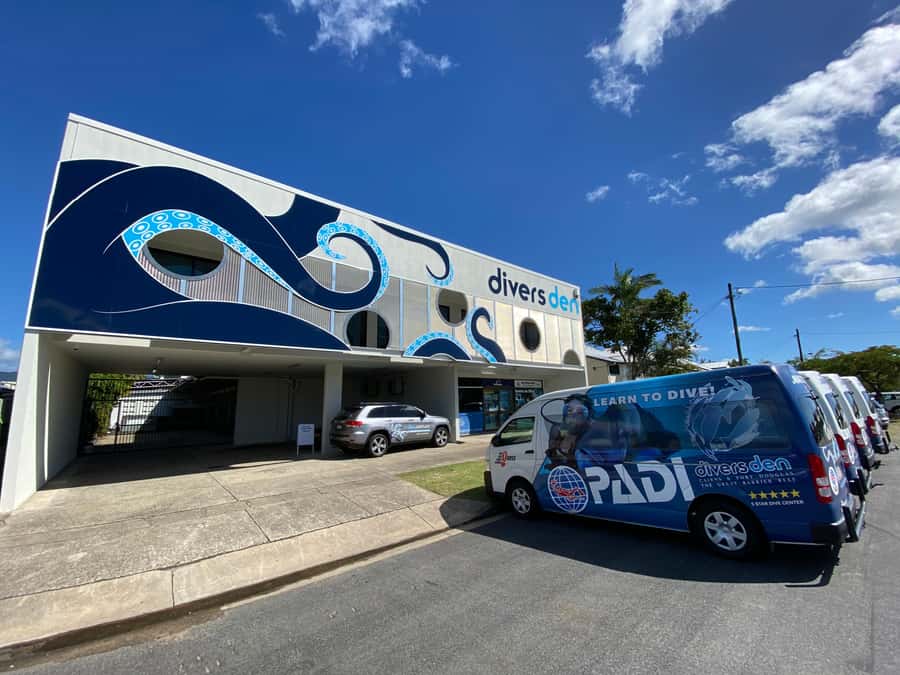 Cairns: 4-Day PADI Open Water Course - Day two: the 200-meter swim and exam