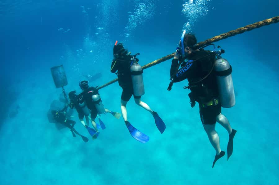 Cairns: 4-Day PADI Open Water Course - Why the Great Barrier Reef setting matters