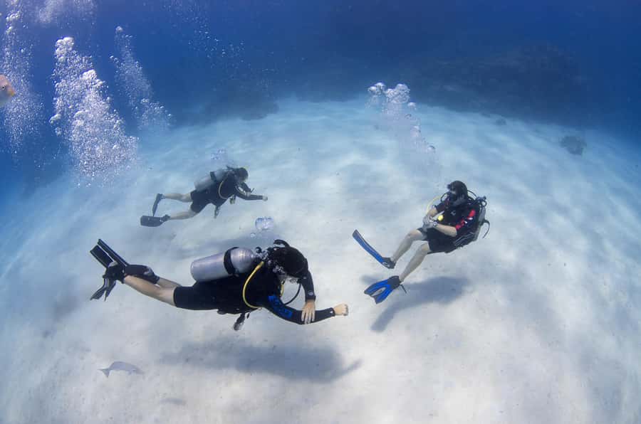 Cairns: 4-Day PADI Open Water Course - What is included, and what you still need to budget