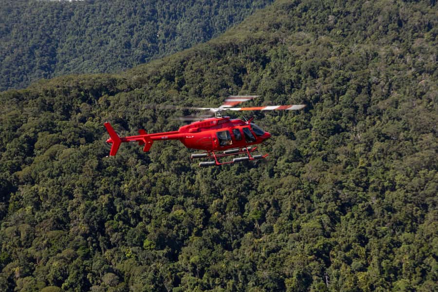 Cairns: 45 Min Great Barrier Reef & Rainforest Scenic Flight - From Double Island to Palm Cove