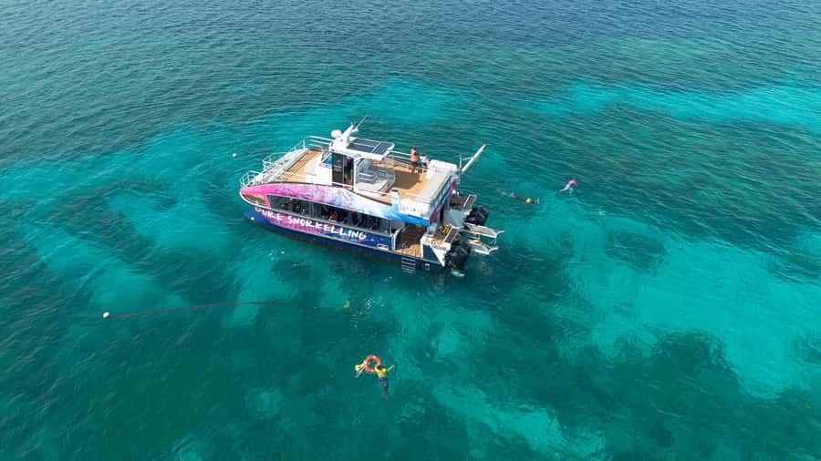 Cairns: All-Inclusive Great Barrier Reef Half-Day Snorkeling - Why this half-day reef trip works