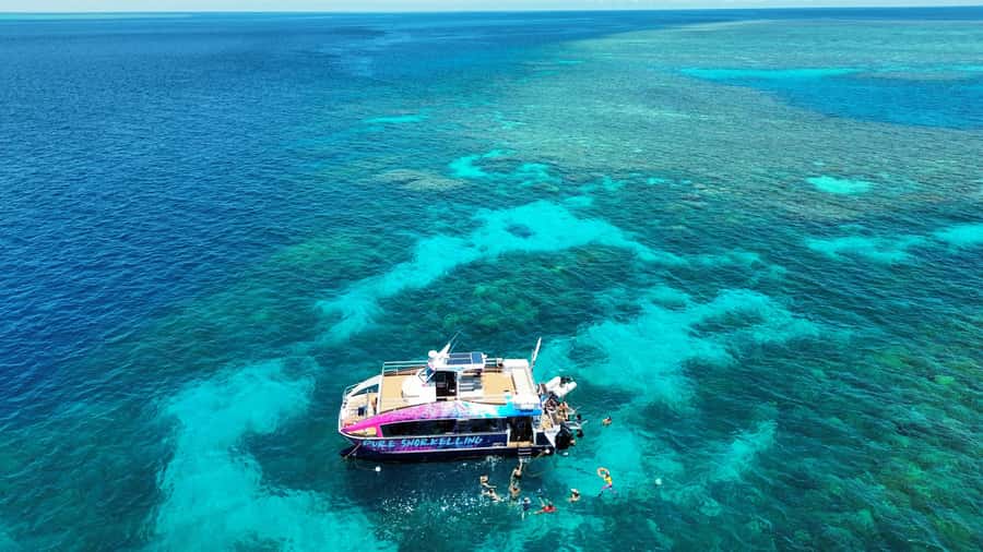 Cairns: All-Inclusive Great Barrier Reef Half-Day Snorkeling - Boarding at Cairns Marlin Marina