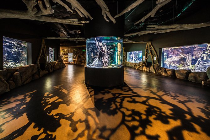 Cairns Aquarium Admission Ticket - Key points to know before you go