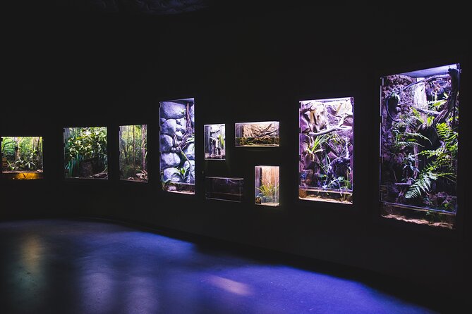 Cairns Aquarium by Twilight Tour - Watching nocturnal fish, reptiles, amphibians, and insects