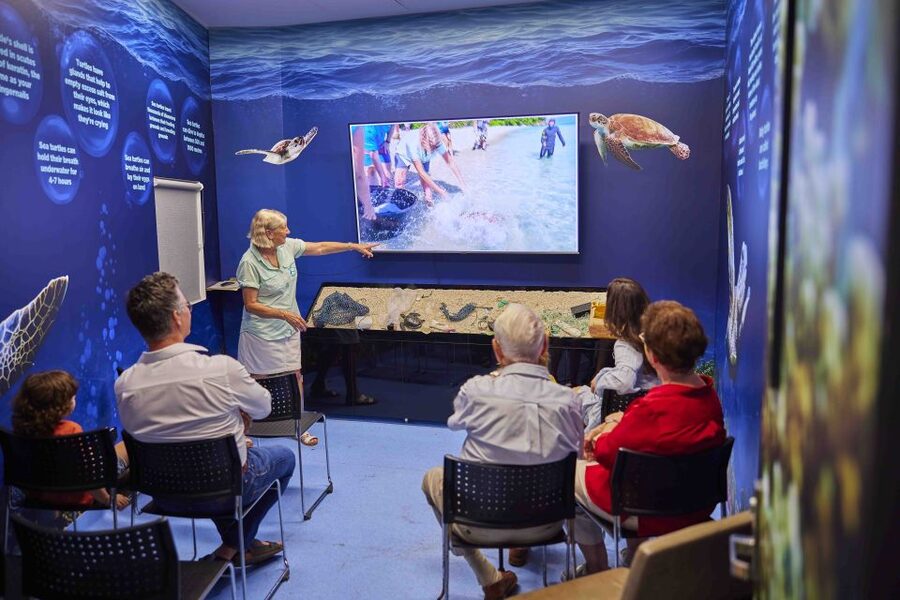 Cairns: Aquarium Entry Ticket and Turtle Rehabilitation Tour - The 30-minute turtle tour is the part to book around