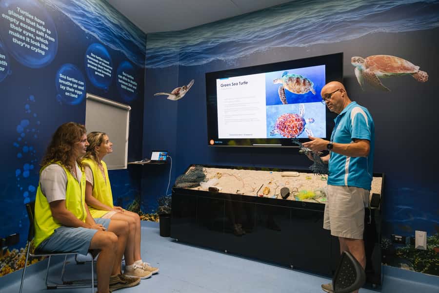 Cairns: Aquarium Entry Ticket and Turtle Rehabilitation Tour - What $55 gets you, and when it feels worthwhile