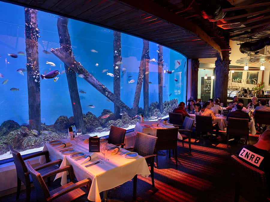 Cairns Aquarium General Admission Ticket - A Queensland reef trip without leaving Cairns