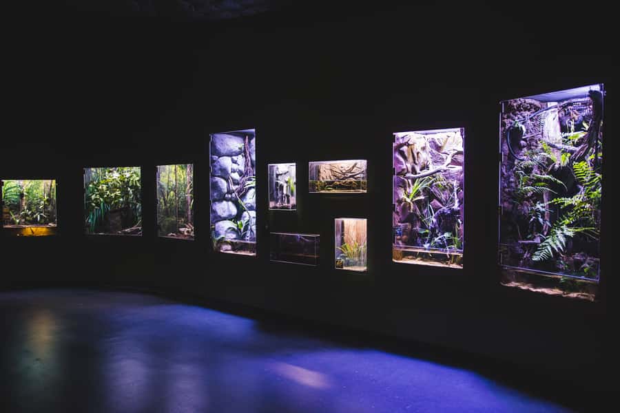 Cairns Aquarium General Admission Ticket - Touch tanks and animal encounters