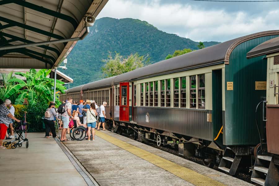 Cairns: Best of the Kuranda Rainforest Full-Day Tour & Lunch - Koalas, kangaroos, and rare Australian animals