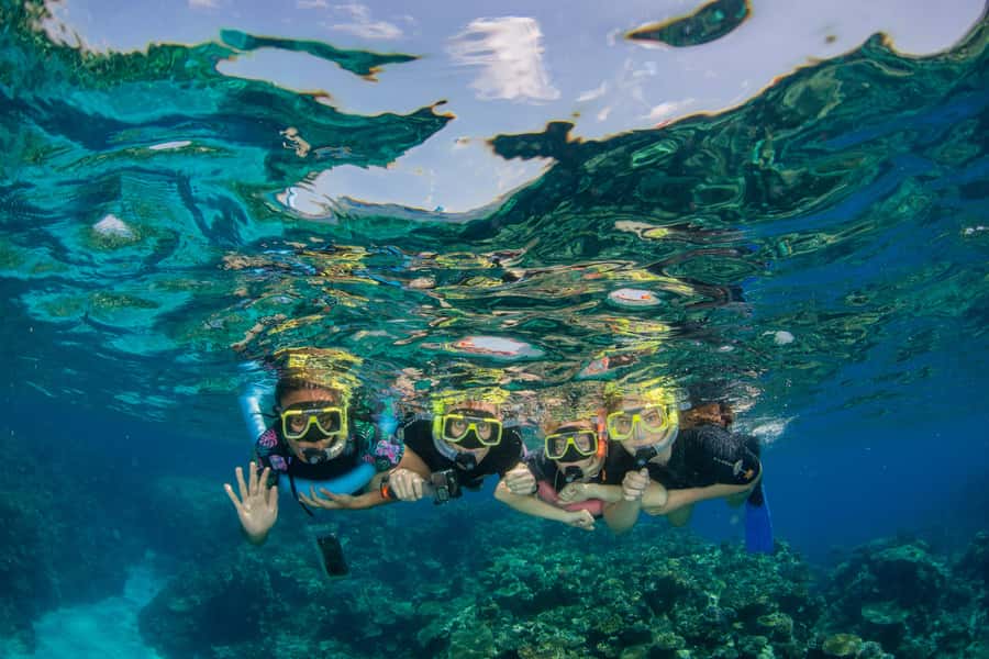 Cairns: Best Value All-inclusive Reef Trip With Scuba Dive - A full reef day from Cairns for $184