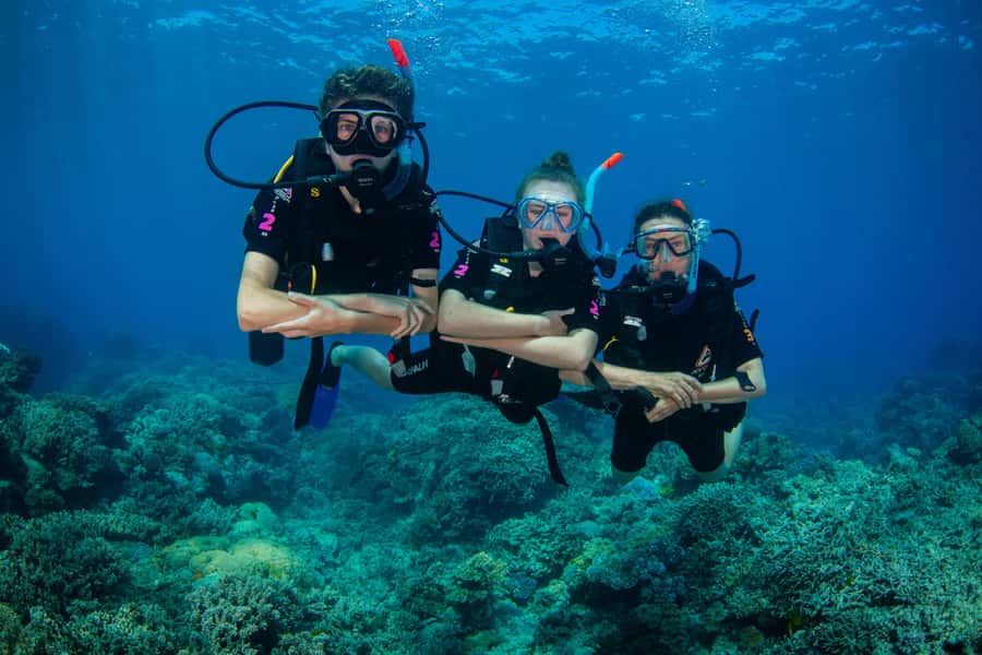 Cairns: Best Value All-inclusive Reef Trip With Scuba Dive - The second site and unlimited snorkeling