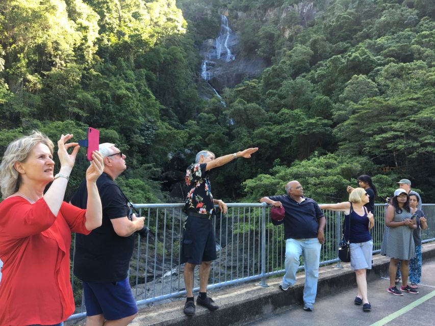Cairns: Cairns City Sights & Surrounds Half Day Tour - Timing, vehicle and comfort