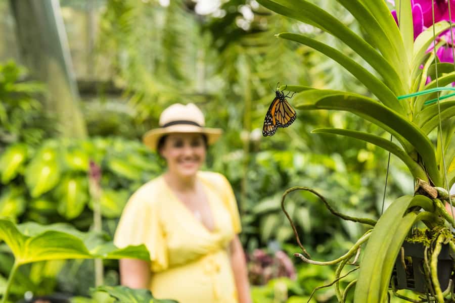 Cairns: Cairns City Sights & Surrounds Half Day Tour - A focused 20 minutes at Cairns Museum
