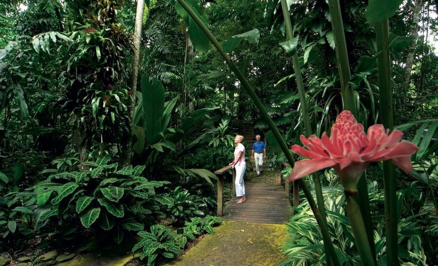 Cairns: Cairns City Sights & Surrounds Half Day Tour - Walking through Flecker Botanic Gardens