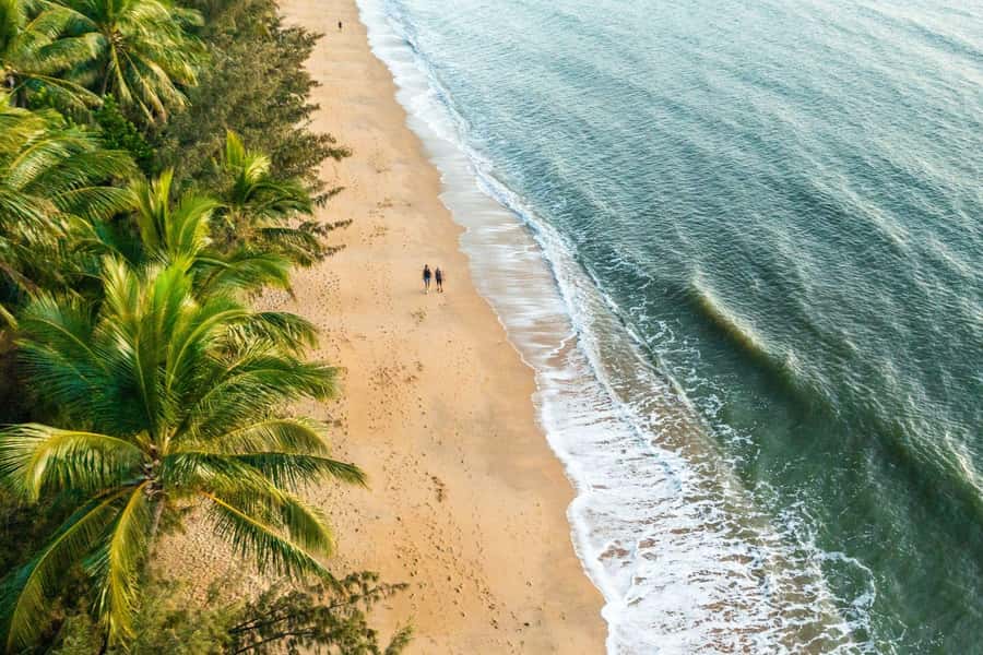 Cairns: Cairns City Sights & Surrounds Half Day Tour - What the guide adds to the day