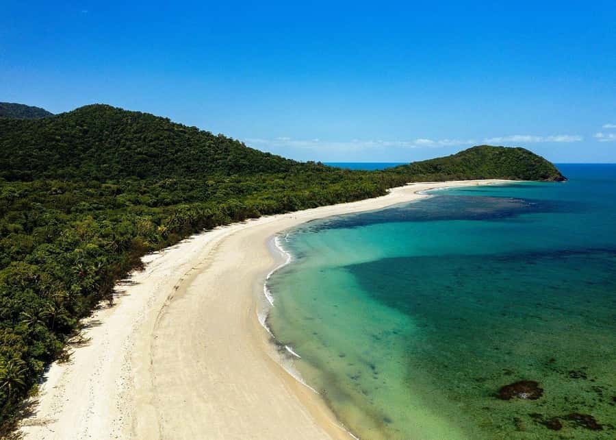 Cairns: Cape Tribulation, Beaches, Crocs & Swimming Day Tour - Key points at a glance