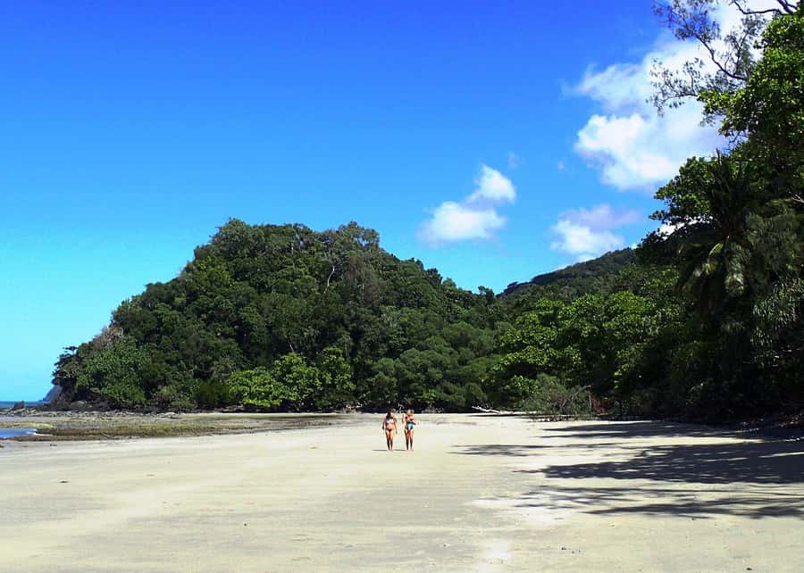Cairns: Cape Tribulation, Beaches, Crocs & Swimming Day Tour - The real appeal: two famous North Queensland worlds in one day