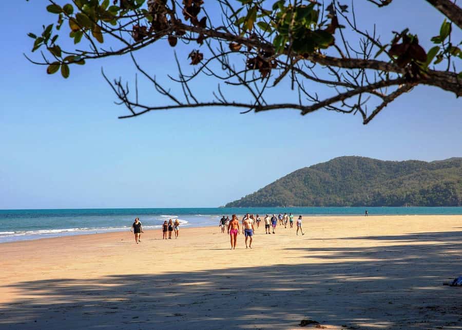Cairns: Cape Tribulation, Beaches, Crocs & Swimming Day Tour - Port Douglas and Four Mile Beach