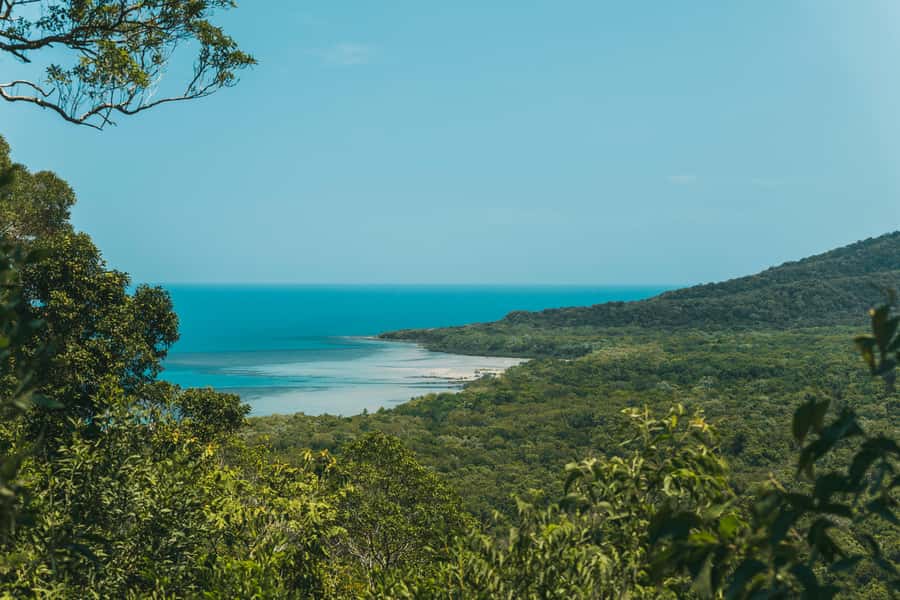 Cairns: Cape Tribulation, Daintree, Mossman and Port Douglas - Lunch is practical, not an afterthought