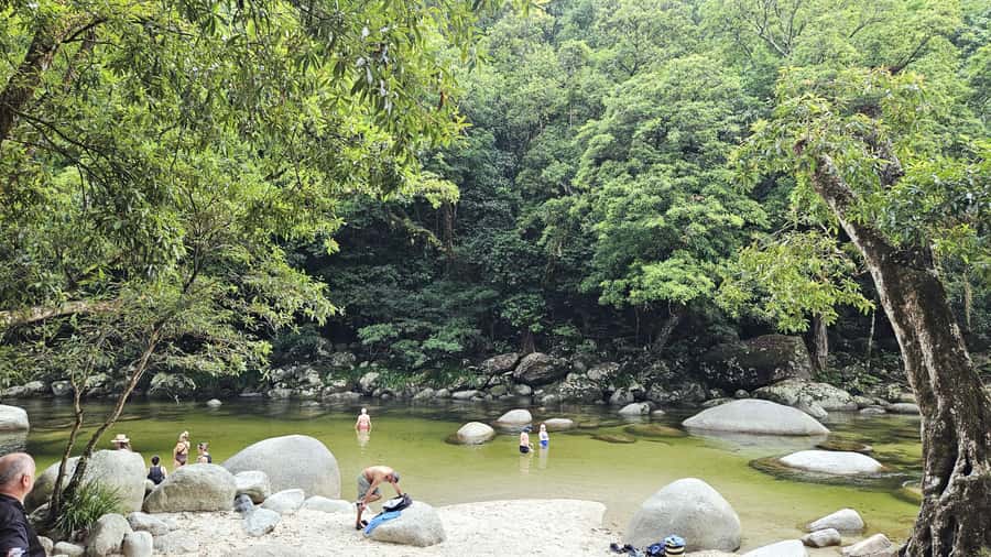 Cairns: Cape Tribulation, Daintree, Mossman and Port Douglas - Crossing into the ancient Daintree