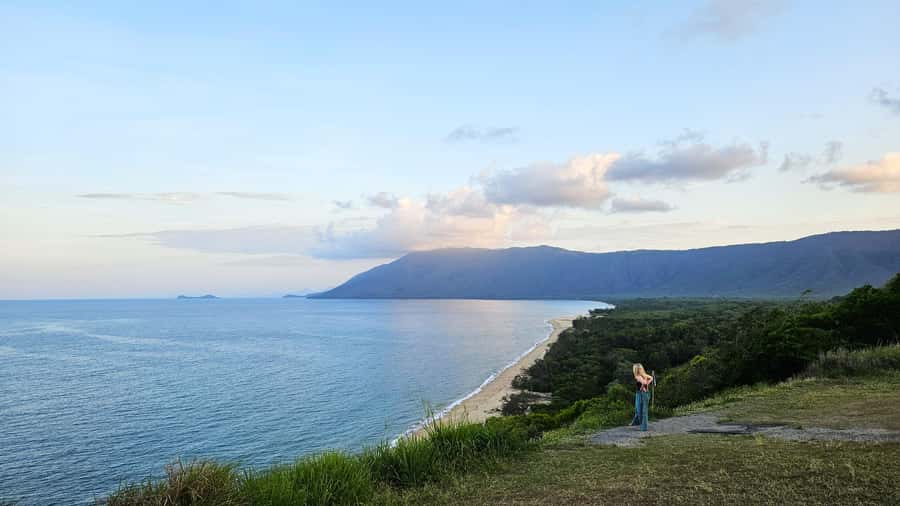 Cairns: Cape Tribulation, Daintree, Mossman and Port Douglas - The botanical walk explains what you are seeing