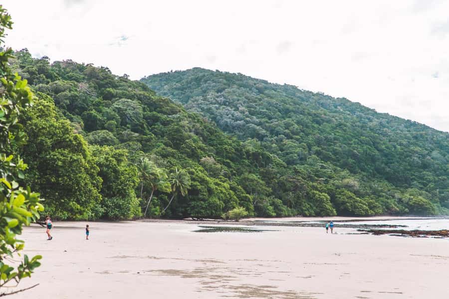 Cairns: Cape Tribulation, Daintree, Mossman and Port Douglas - Mossman Gorge brings the first real walk