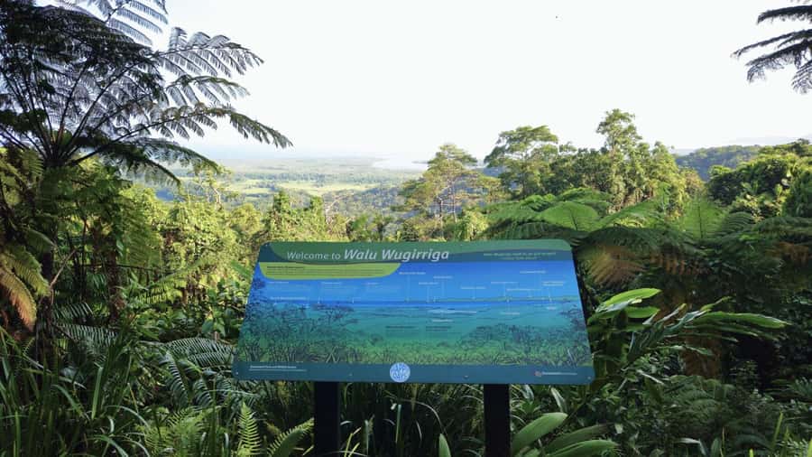 Cairns: Daintree, Mossman Gorge, & Cape Tribulation Day Trip - Why this Daintree day trip works so well