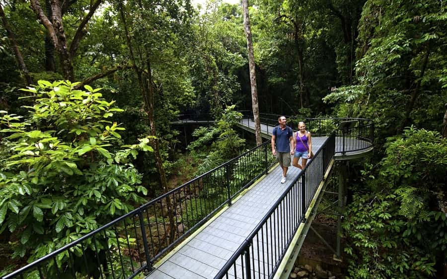 Cairns: Daintree, Mossman Gorge, & Cape Tribulation Day Trip - Mossman Gorge: water, boulders, and rainforest