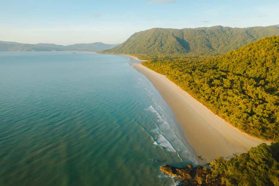 Cairns: Daintree, Mossman Gorge, & Cape Tribulation Day Trip - The coastal road to Port Douglas and Rex Lookout