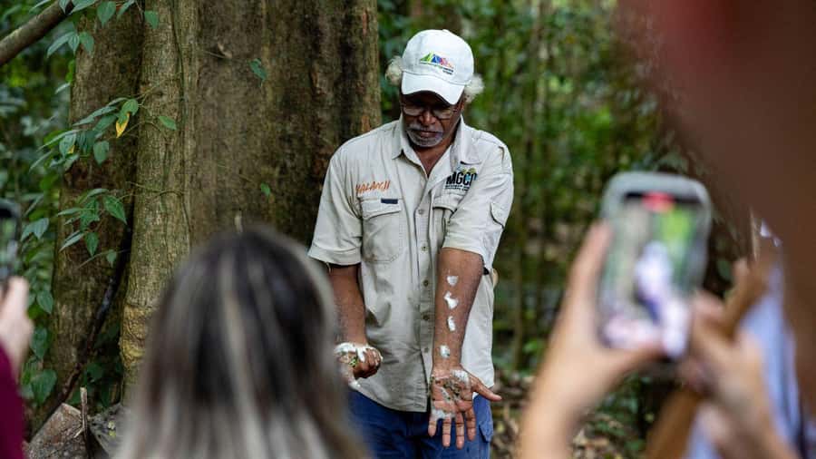 Cairns: Daintree Rainforest and Mossman Gorge Tour - Why this Daintree day trip works