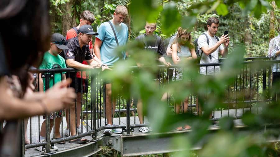 Cairns: Daintree Rainforest and Mossman Gorge Tour - Mossman Gorge and the Kuku Yalanji welcome