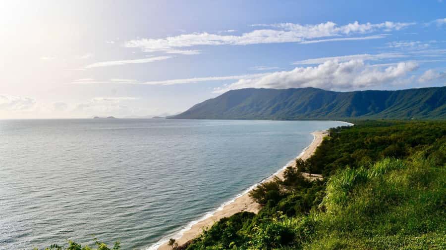 Cairns: Daintree Rainforest and Mossman Gorge Tour - The Daintree ferry and the forest beyond