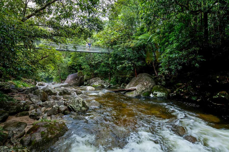 Cairns: Daintree Rainforest and Mossman Gorge Tour - Lunch, ice cream, and the pace of the afternoon