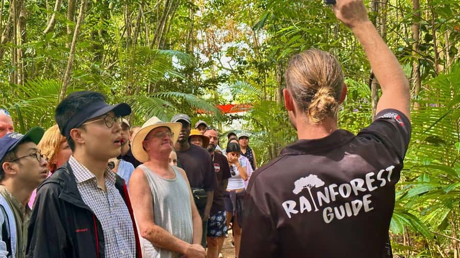 Cairns: Daintree Rainforest and Mossman Gorge Tour - The scenic road from Cairns to Port Douglas