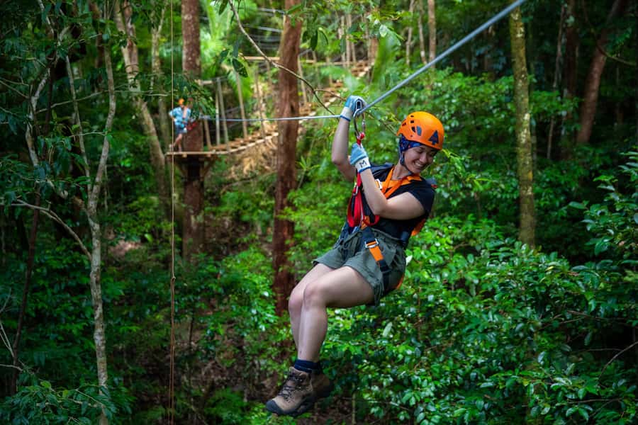 Cairns: Daintree Rainforest Canopy Ziplining Tour - Flying above the Daintree canopy