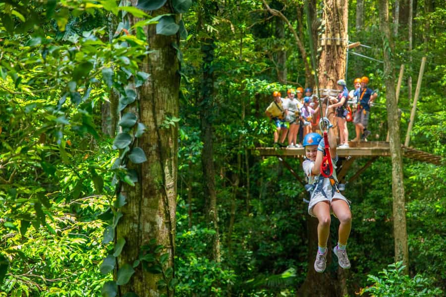 Cairns: Daintree Rainforest Canopy Ziplining Tour - What the $102 price really buys