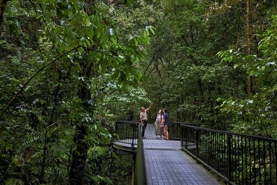Cairns: Daintree Rainforest & Cape Tribulation Day Trip - A two-course lunch at Heritage Lodge