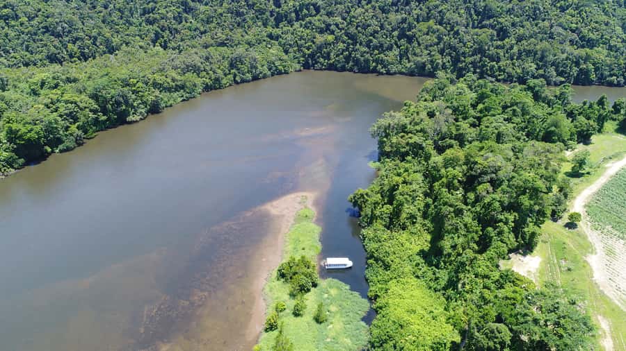 Cairns: Daintree Rainforest Wildlife Experience Cruise - Boarding the boat and settling into the river