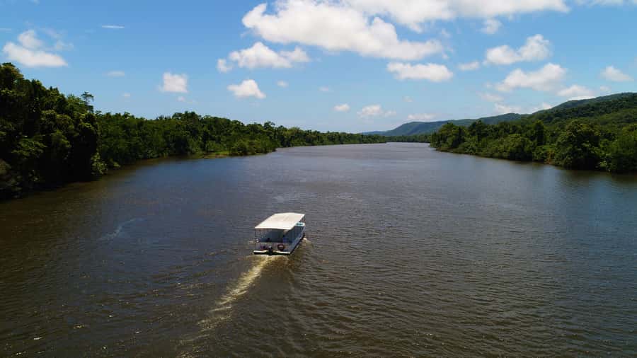 Cairns: Daintree Rainforest Wildlife Experience Cruise - Reaching the Daintree River Cruise Centre