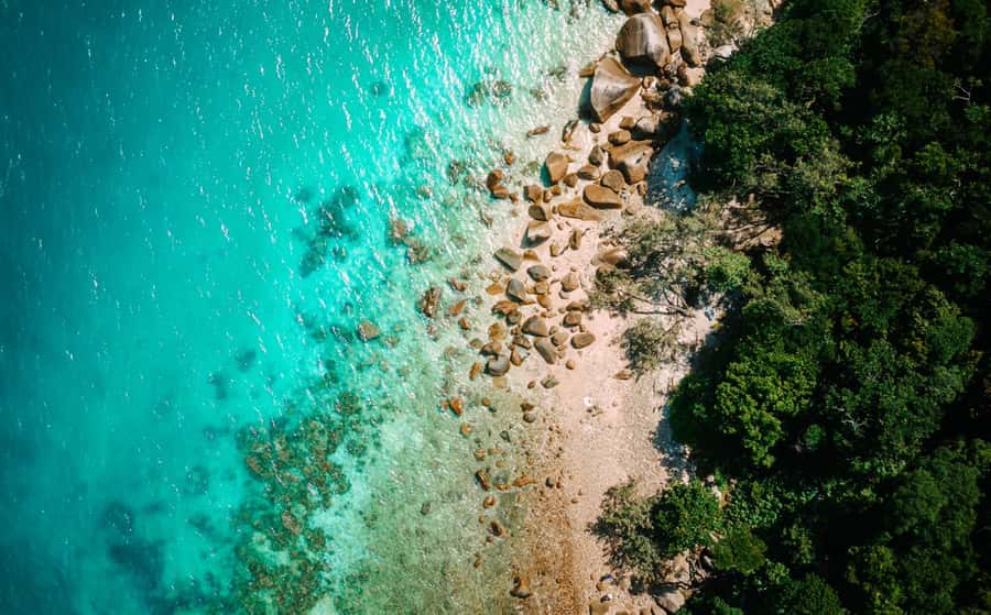 Cairns: Fitzroy Island Ferry w/ Snorkel, Lunch, Tour Options - Fitzroy Island day trip at a glance