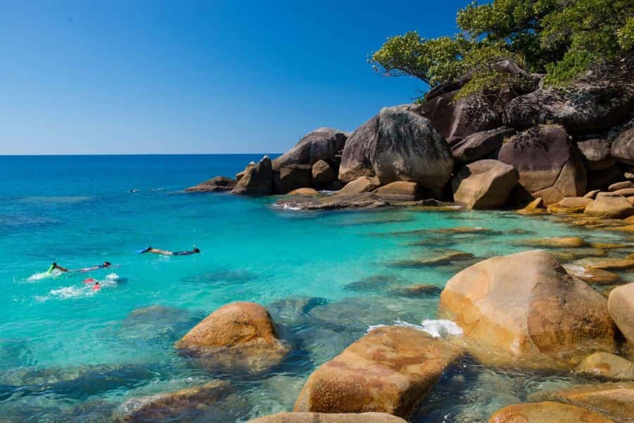 Cairns: Fitzroy Island Ferry w/ Snorkel, Lunch, Tour Options - Snorkeling from the beach