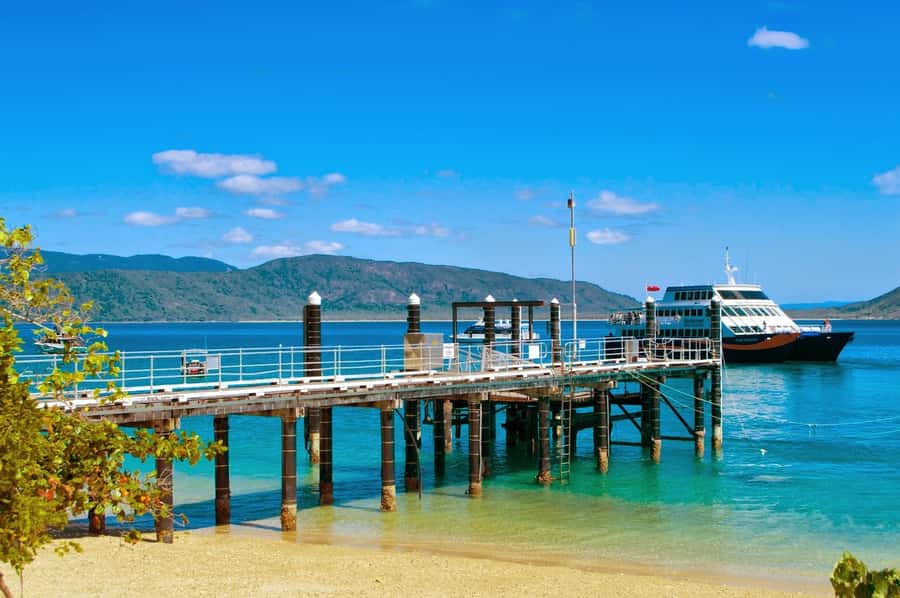 Cairns: Fitzroy Island Ferry w/ Snorkel, Lunch, Tour Options - Should you book the Fitzroy Island ferry?