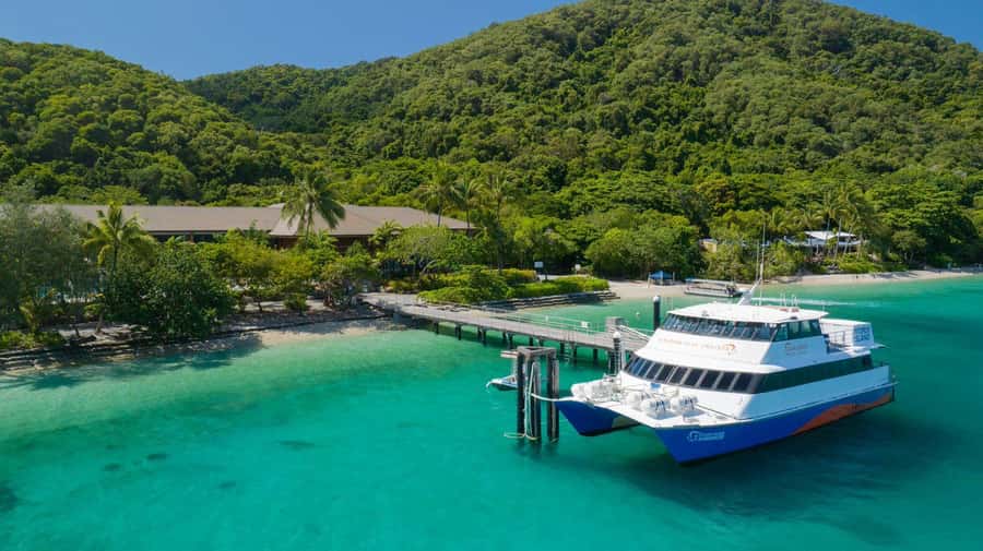 Cairns: Fitzroy Island Ferry w/ Snorkel, Lunch, Tour Options - Four and a half hours to make the island your own