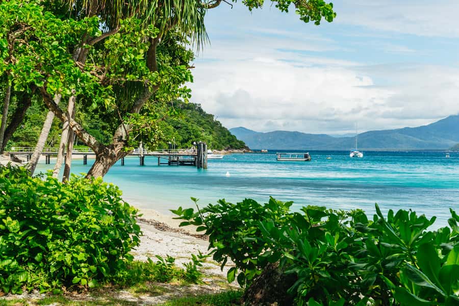 Cairns: Fitzroy Island Full-Day Trip with Optional Extras - The 45-minute ferry from Cairns to Fitzroy Island
