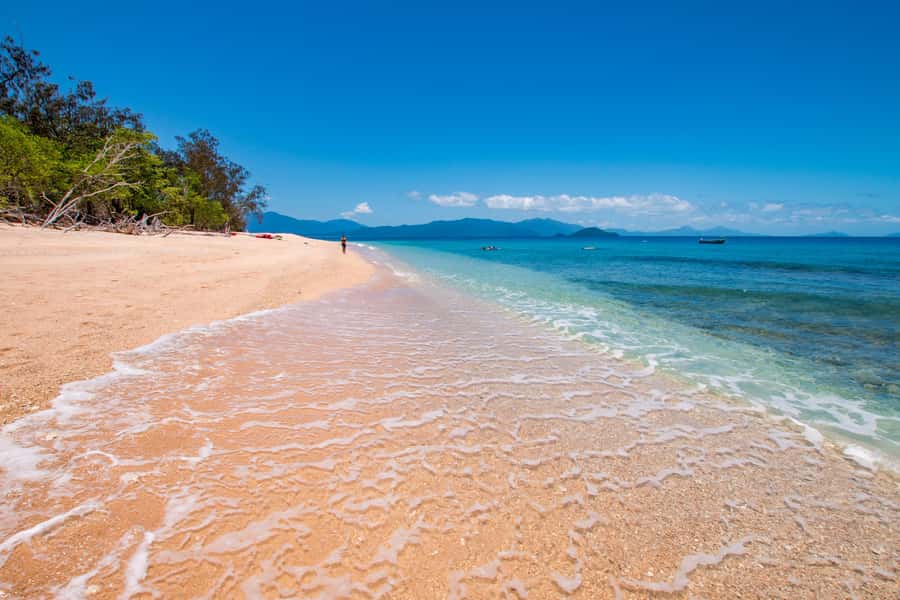 Cairns: Frankland Islands Great Barrier Reef Tour - The semi-submarine and island walk