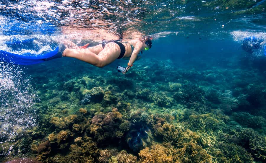 Cairns: Frankland Islands Great Barrier Reef Tour - Kayaks, paddleboards, and children’s activities